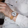 1564 Chronodate Automatic by AV86 with vintage chronograph dial, sapphire crystal, and tan leather strap worn with casual neutral attire