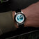 Earthrise WWF Partnership, Automatic / 2025 Edition by AV86 with sapphire crystal, automatic movement, and black fabric strap on wrist